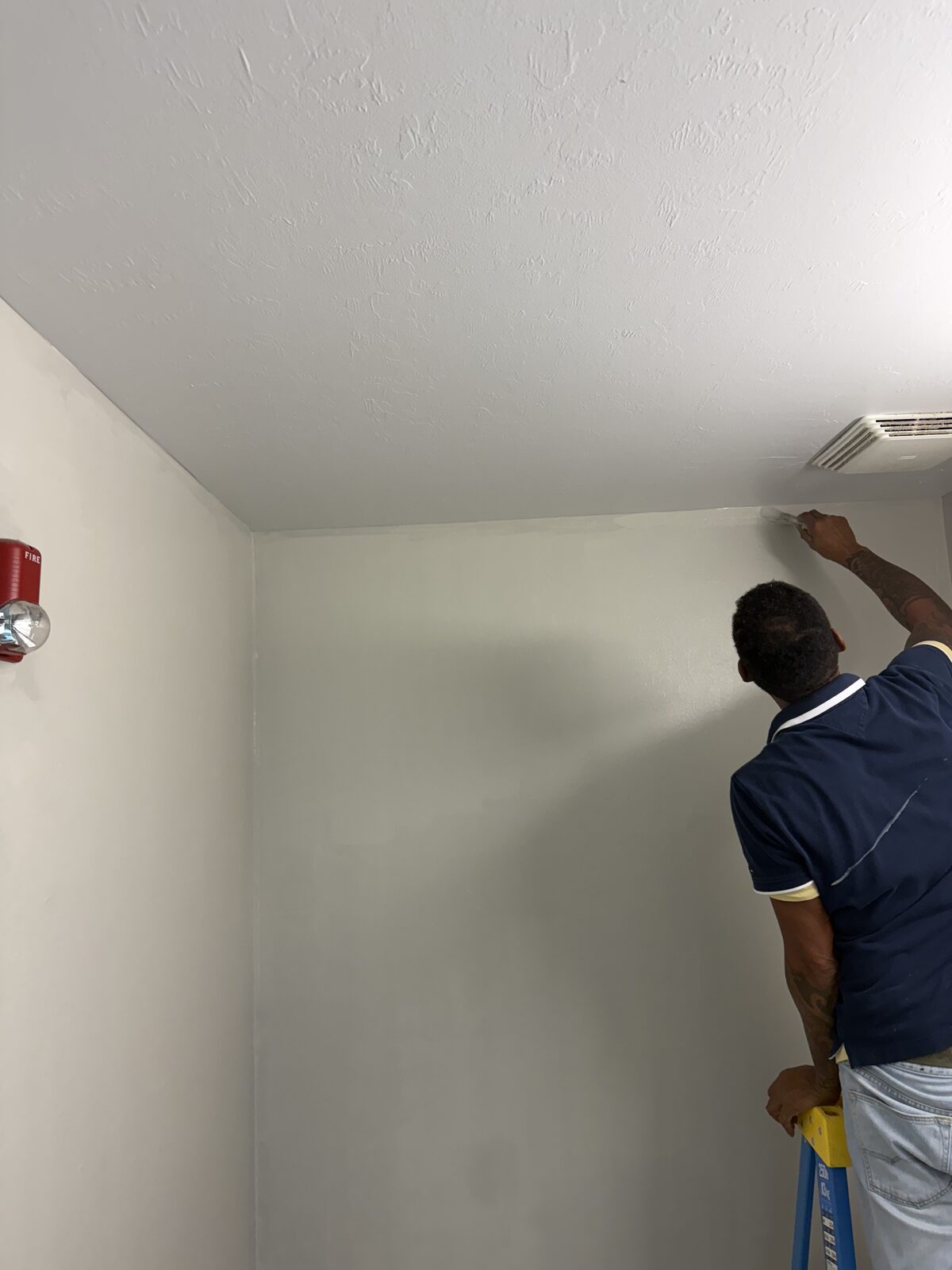 Cut line brushed by hand where the wall meets the ceiling — Bell Engineering & Construction