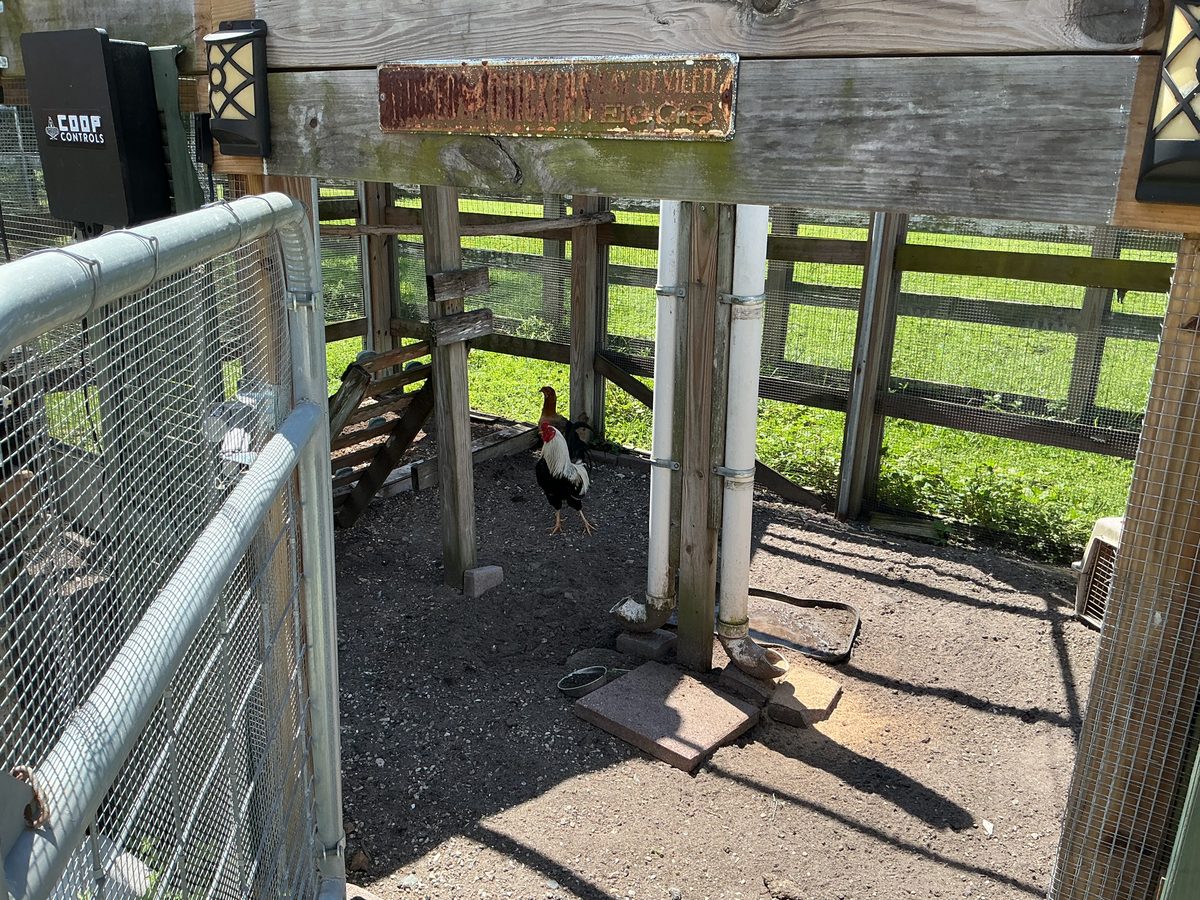 The Bell Farm