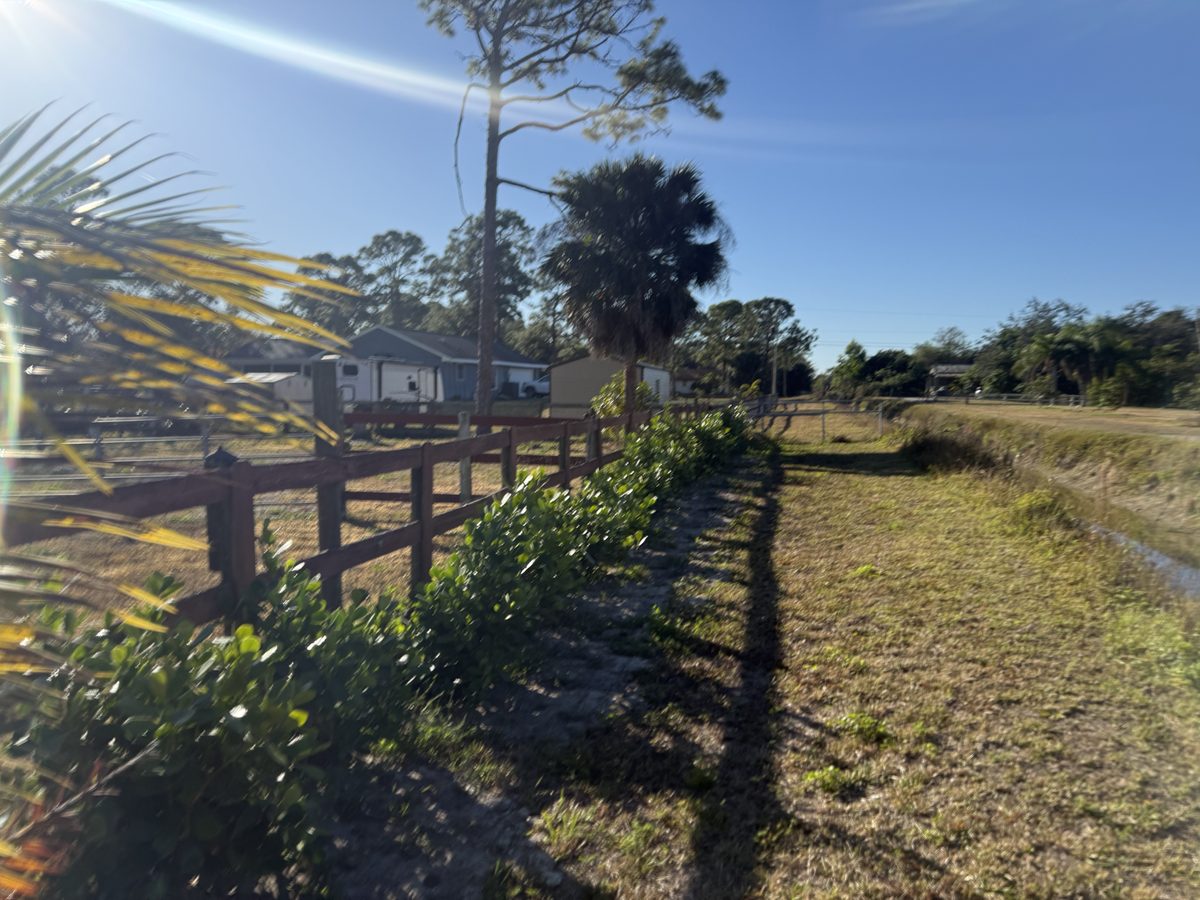 The Bell Farm