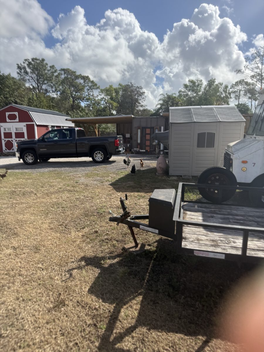 The Bell Farm