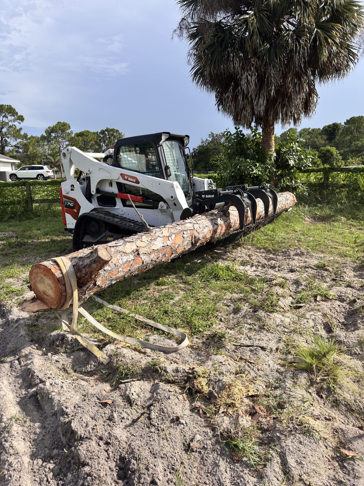 Bobcat T740 grapple moving a pine log — land clearing in Loxahatchee, FL
