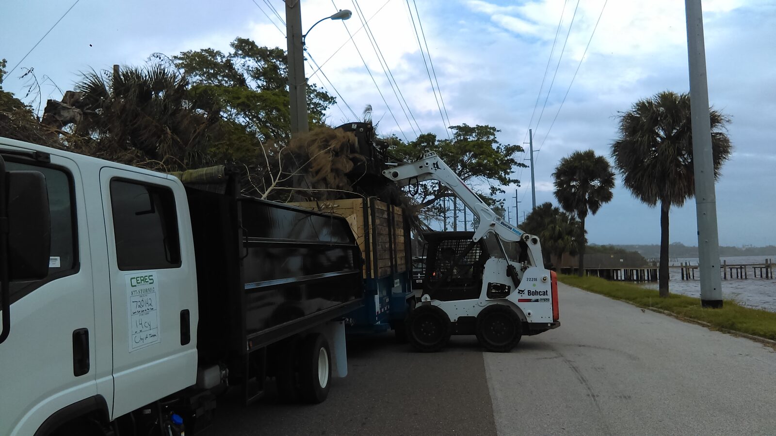 Bobcat S650 skid steer with a grapple loading storm debris beside an Isuzu dump truck and dump trailer on a waterfront Tampa street after Hurricane Irma, 2017