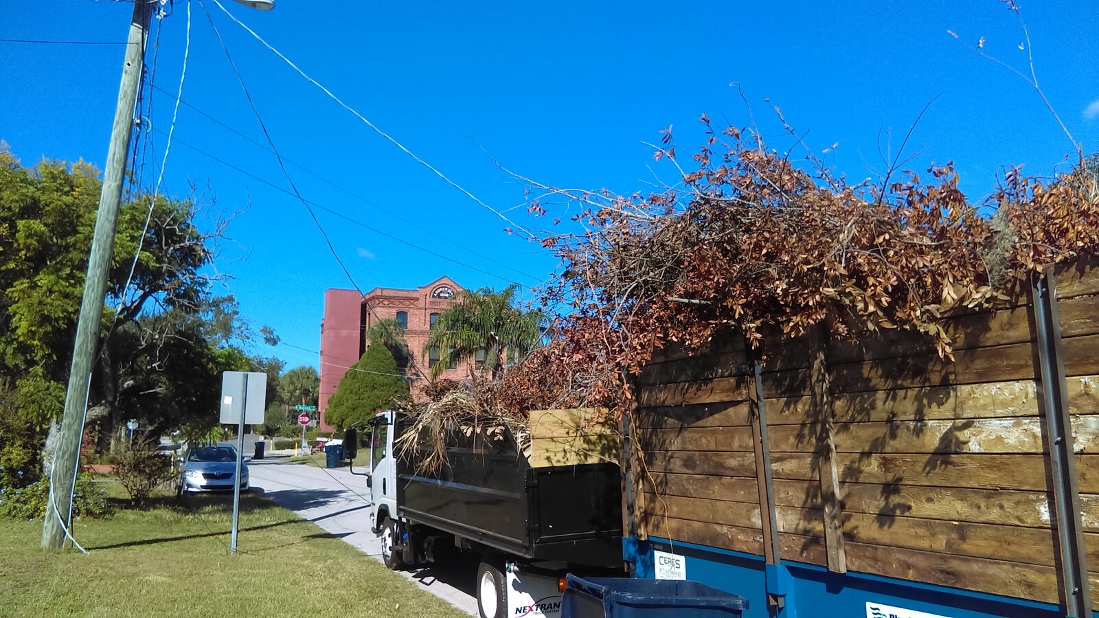 Dump trailer heaped with storm-killed branches in Ybor City, a historic red-brick cigar factory building standing behind it